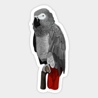 Grey Parrot Bird Birder Birdlover Birdwatcher Animal Sticker